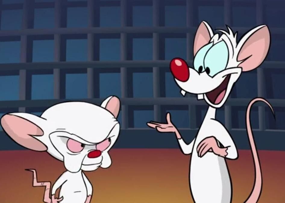 #53. Pinky and the Brain